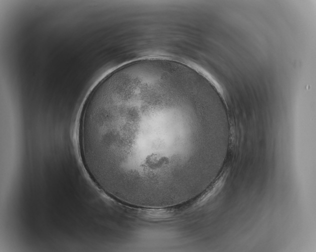 X0000102501007200808081345