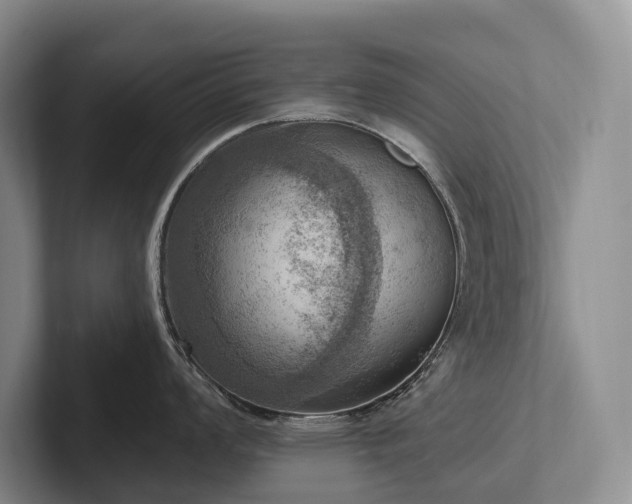 X0000102501008200808081345