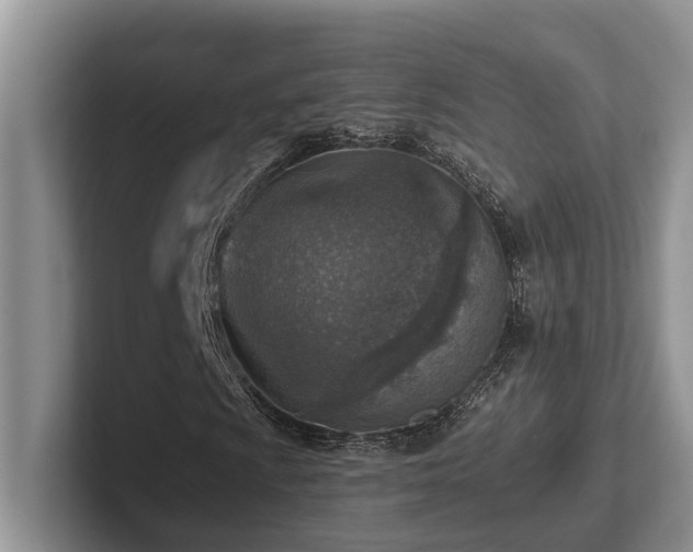 X0000102501009200808081344