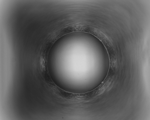 X0000102501010200808081344