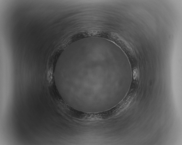 X0000102501011200808081344