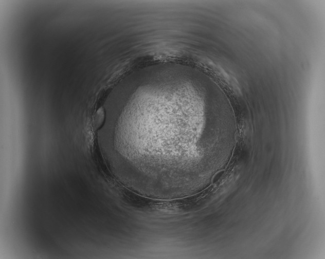 X0000102501012200808081344