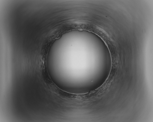 X0000102501013200808081344