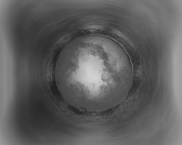 X0000102501014200808081344