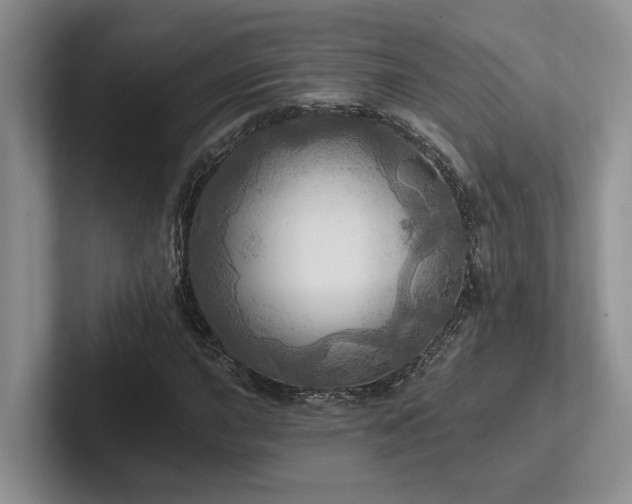 X0000102501015200808081344