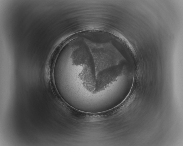 X0000102501019200808081344