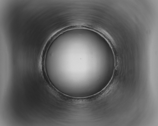 X0000102501020200808081344