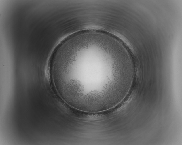 X0000102501022200808081344