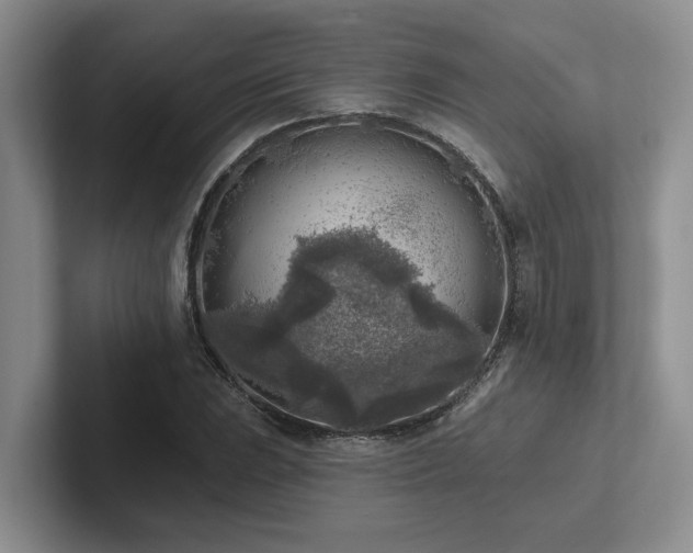 X0000102501023200808081344