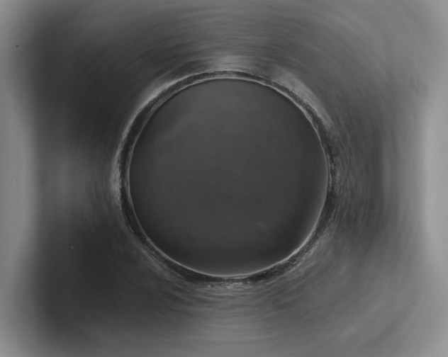X0000102501024200808081345