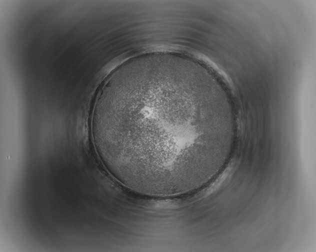 X0000102501025200808081345