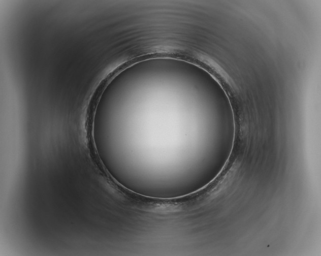 X0000102501026200808081345