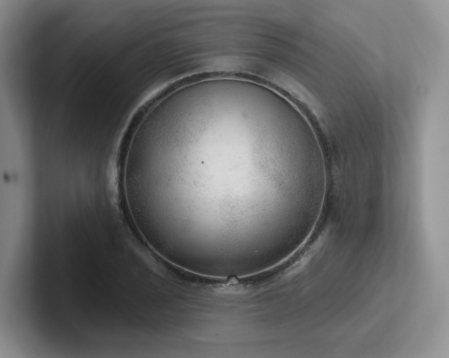 X0000102501029200808081345