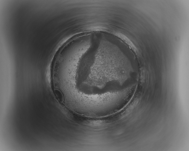 X0000102501031200808081345