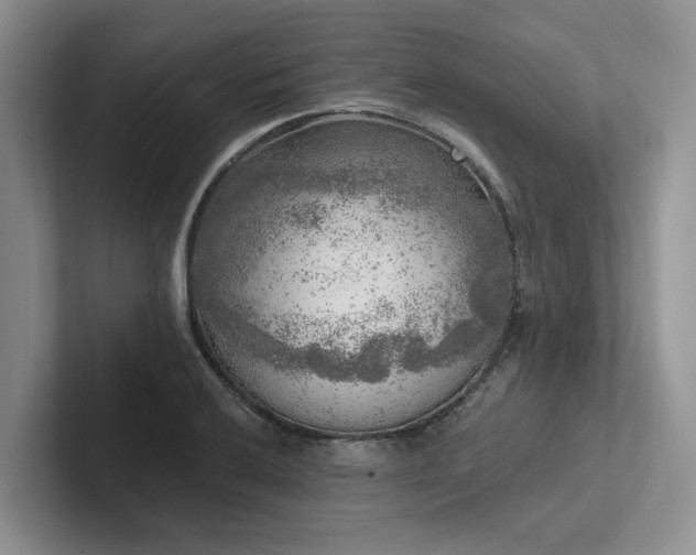 X0000102501032200808081345