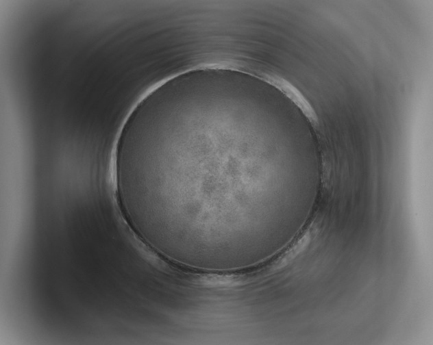X0000102501036200808081345