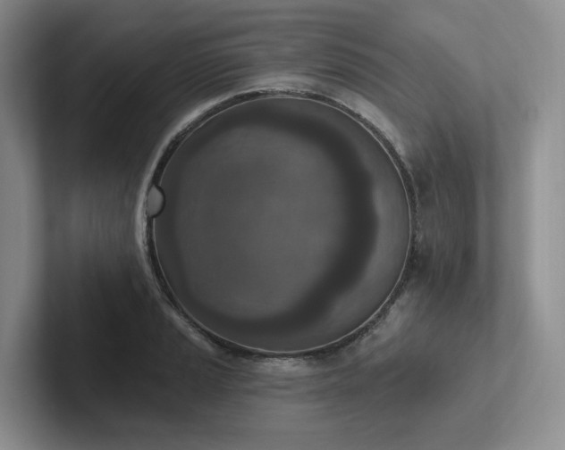 X0000102501037200808081345