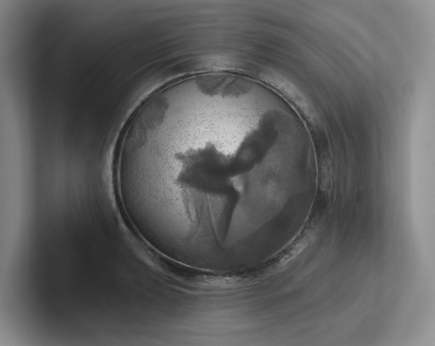 X0000102501039200808081345