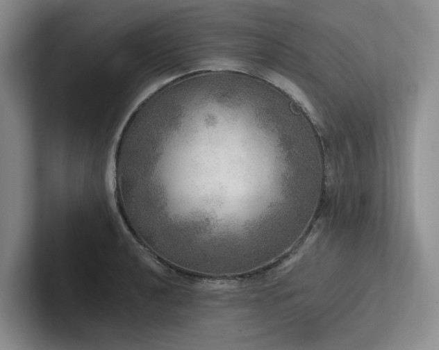X0000102501040200808081345