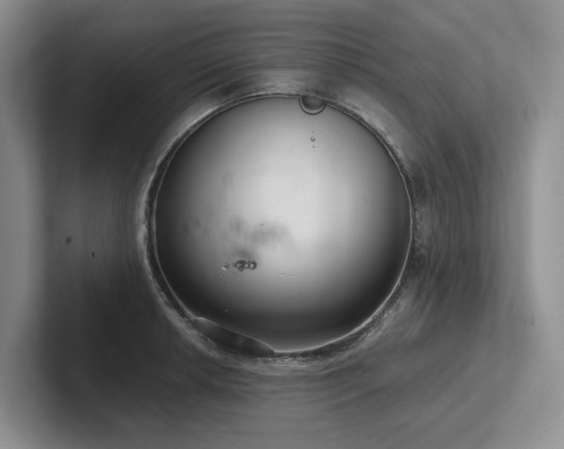 X0000102501042200808081345