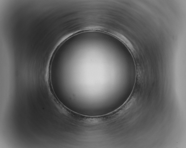 X0000102501044200808081345