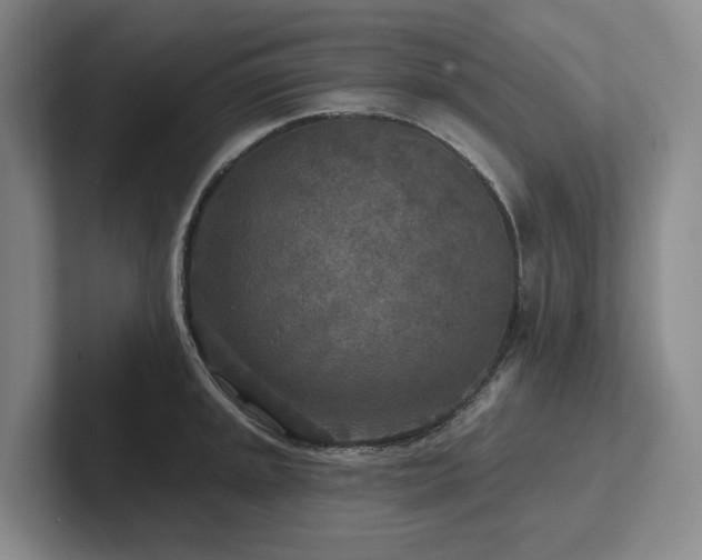 X0000102501045200808081345