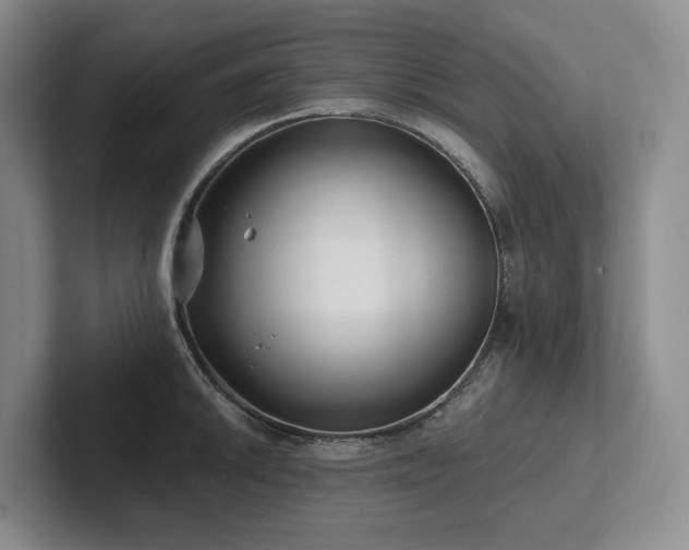 X0000102501046200808081345