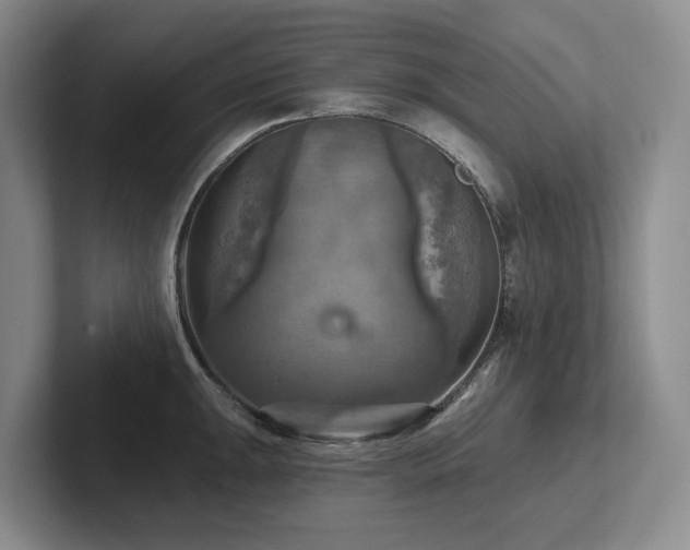 X0000102501047200808081345