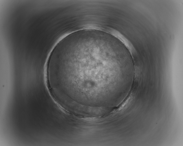 X0000102501048200808081345