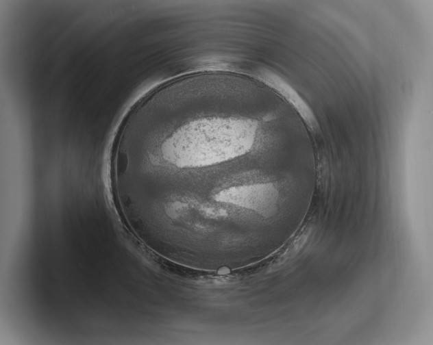 X0000102501051200808081345