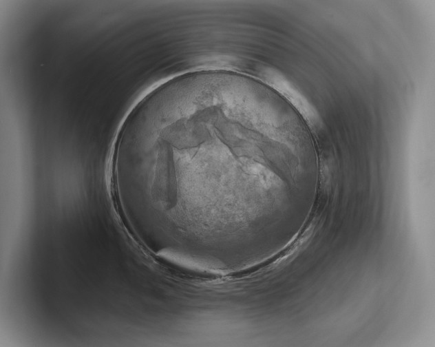 X0000102501052200808081345