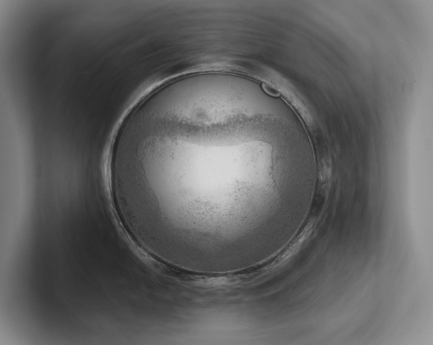 X0000102501054200808081345