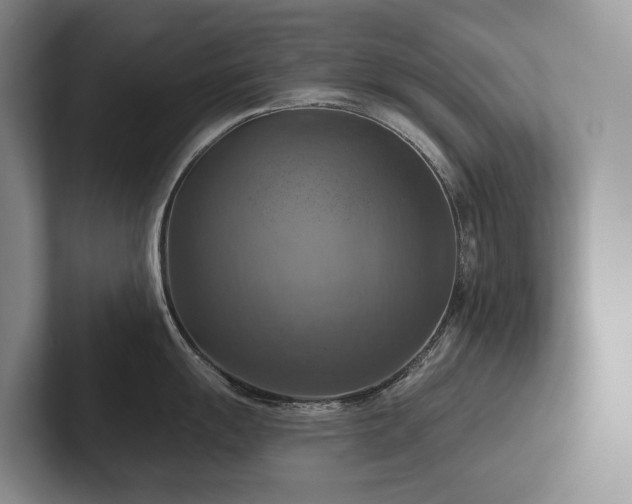 X0000102501055200808081345
