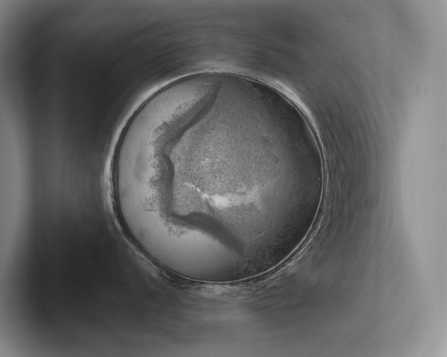 X0000102501056200808081345