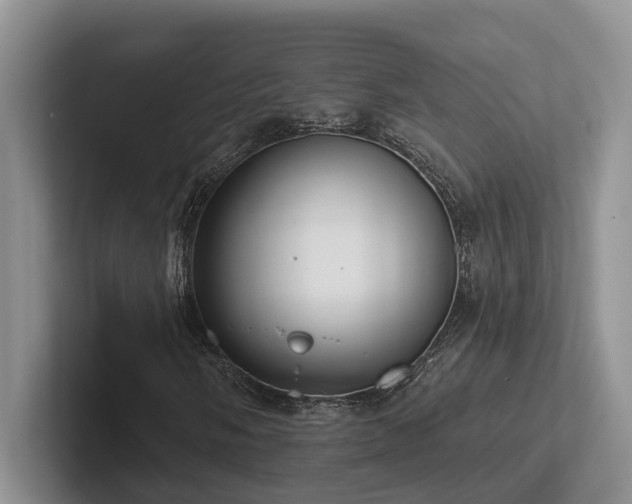 X0000102501058200808081344
