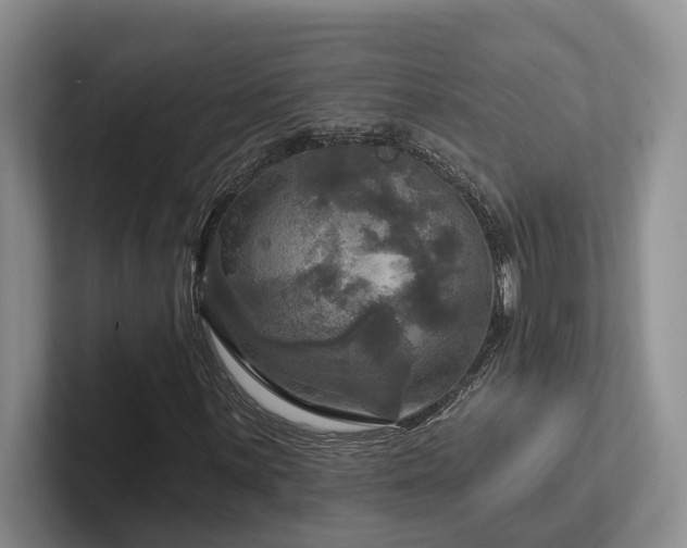 X0000102501059200808081344