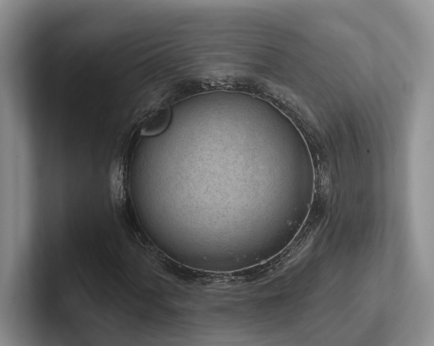 X0000102501060200808081344
