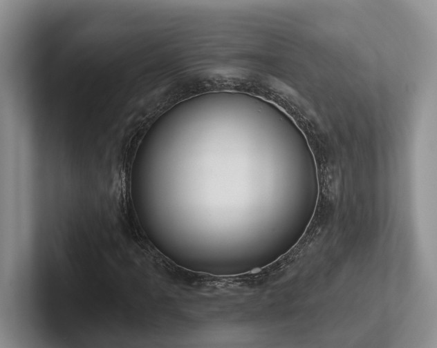 X0000102501061200808081344