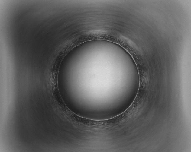 X0000102501062200808081344