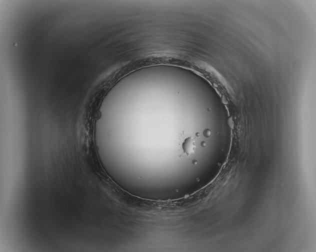 X0000102501064200808081344
