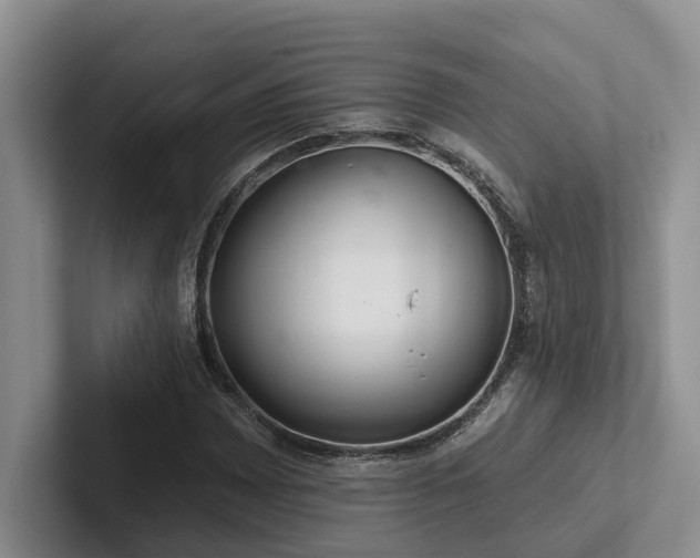 X0000102501065200808081344