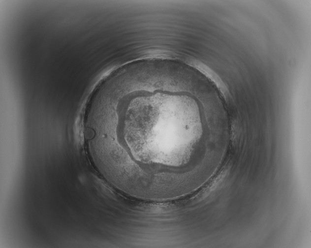 X0000102501067200808081344