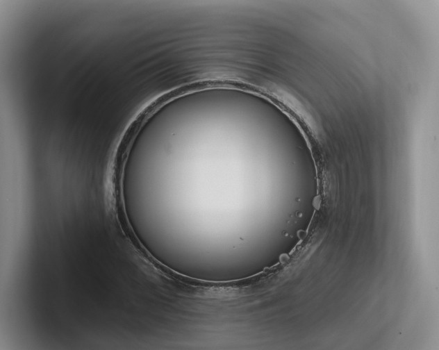X0000102501068200808081344