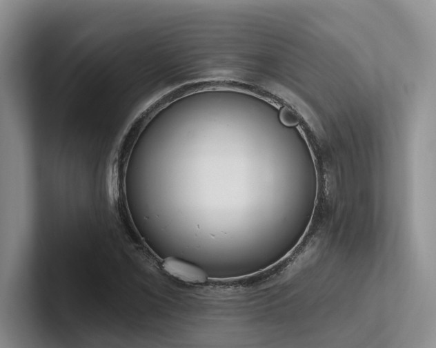 X0000102501069200808081344