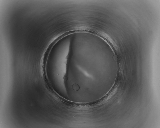 X0000102501071200808081344