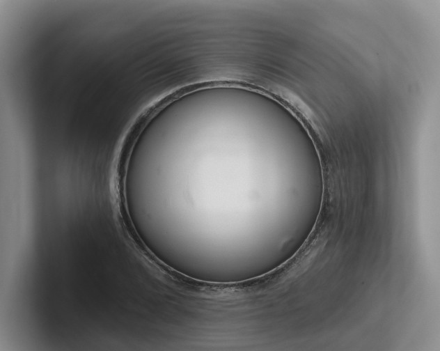 X0000102501072200808081344