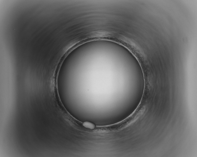 X0000102501073200808081344