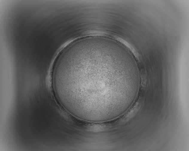 X0000102501074200808081344
