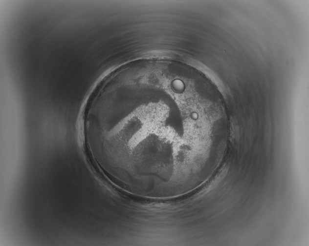 X0000102501075200808081344