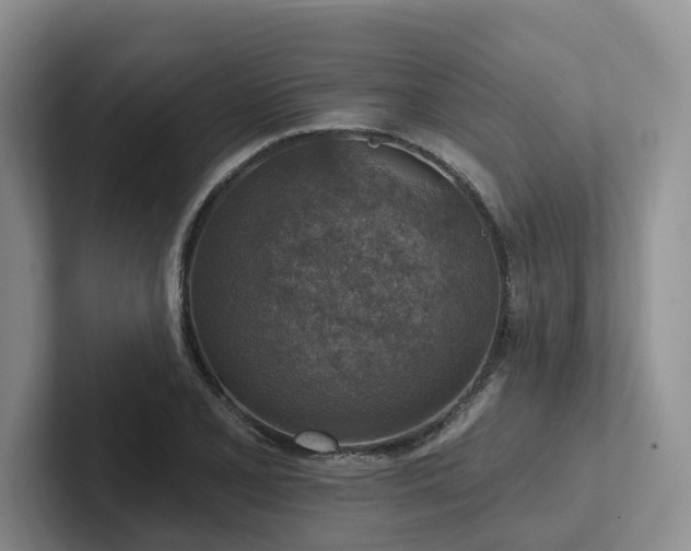 X0000102501077200808081344